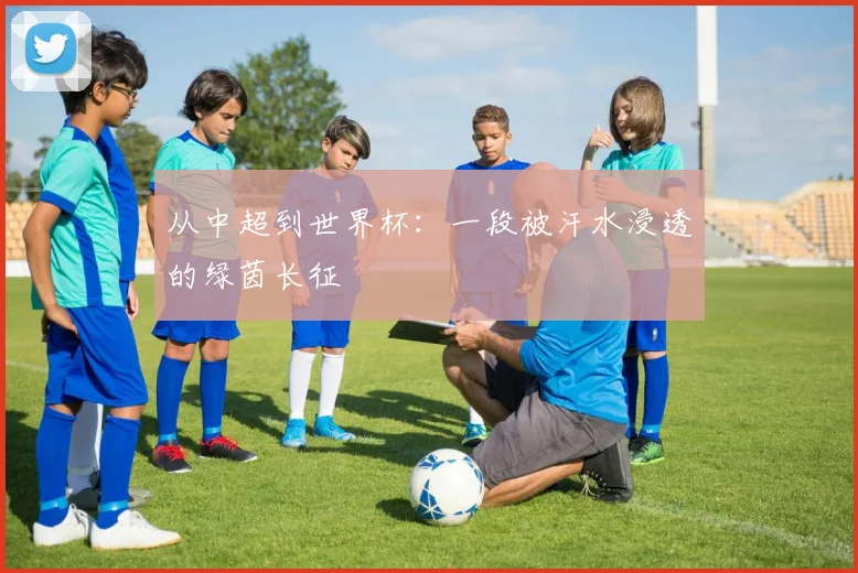 从中超到世界杯:一段被汗水浸透的绿茵长征