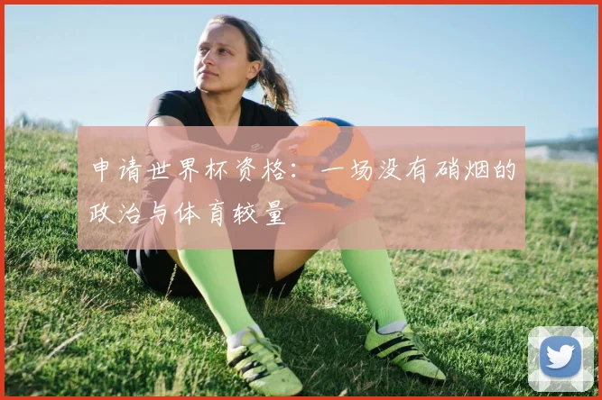 申请世界杯资格：一场没有硝烟的政治与体育较量