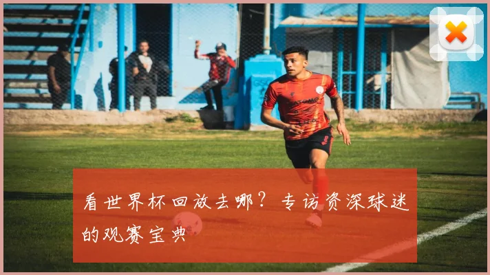 看世界杯回放去哪?专访资深球迷的观赛宝典