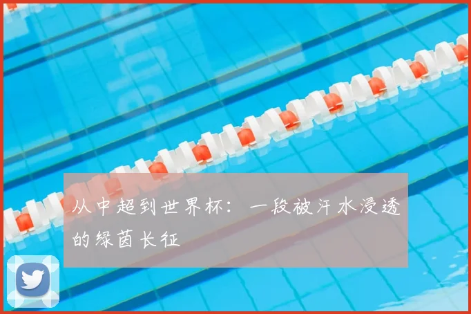 从中超到世界杯:一段被汗水浸透的绿茵长征