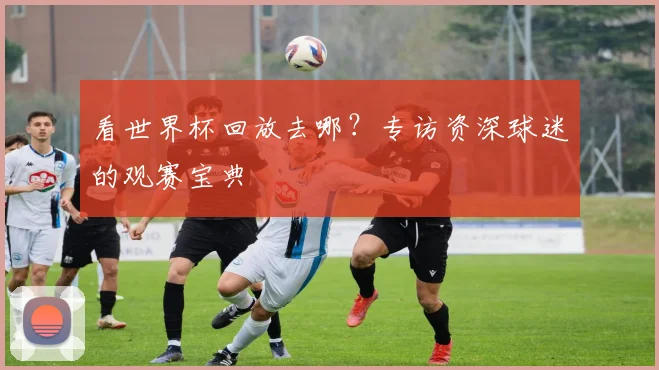 看世界杯回放去哪?专访资深球迷的观赛宝典