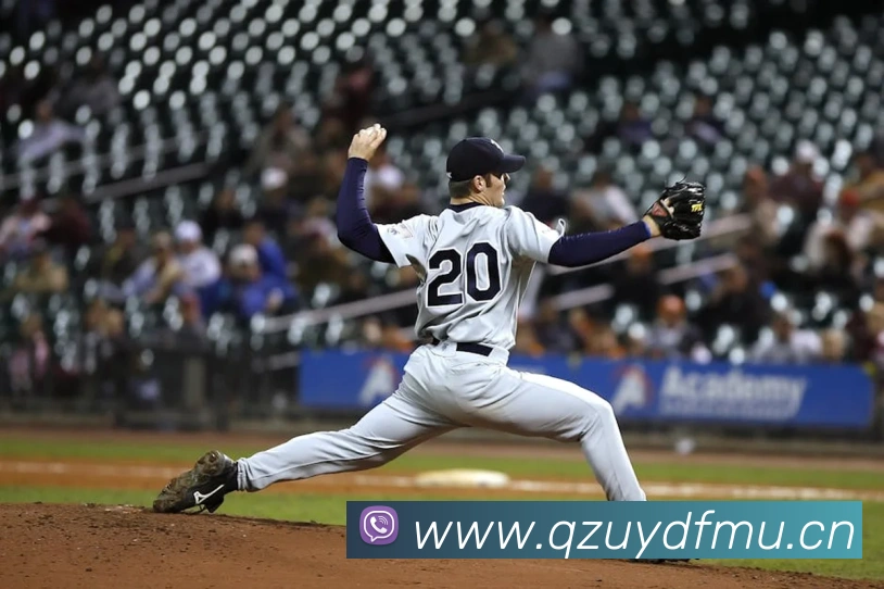 乐竞官网登录入口平台生态图